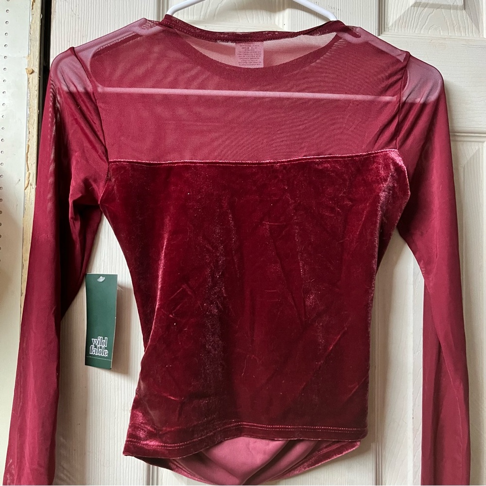 Wild Fable Burgundy Velvet Sheer Top
